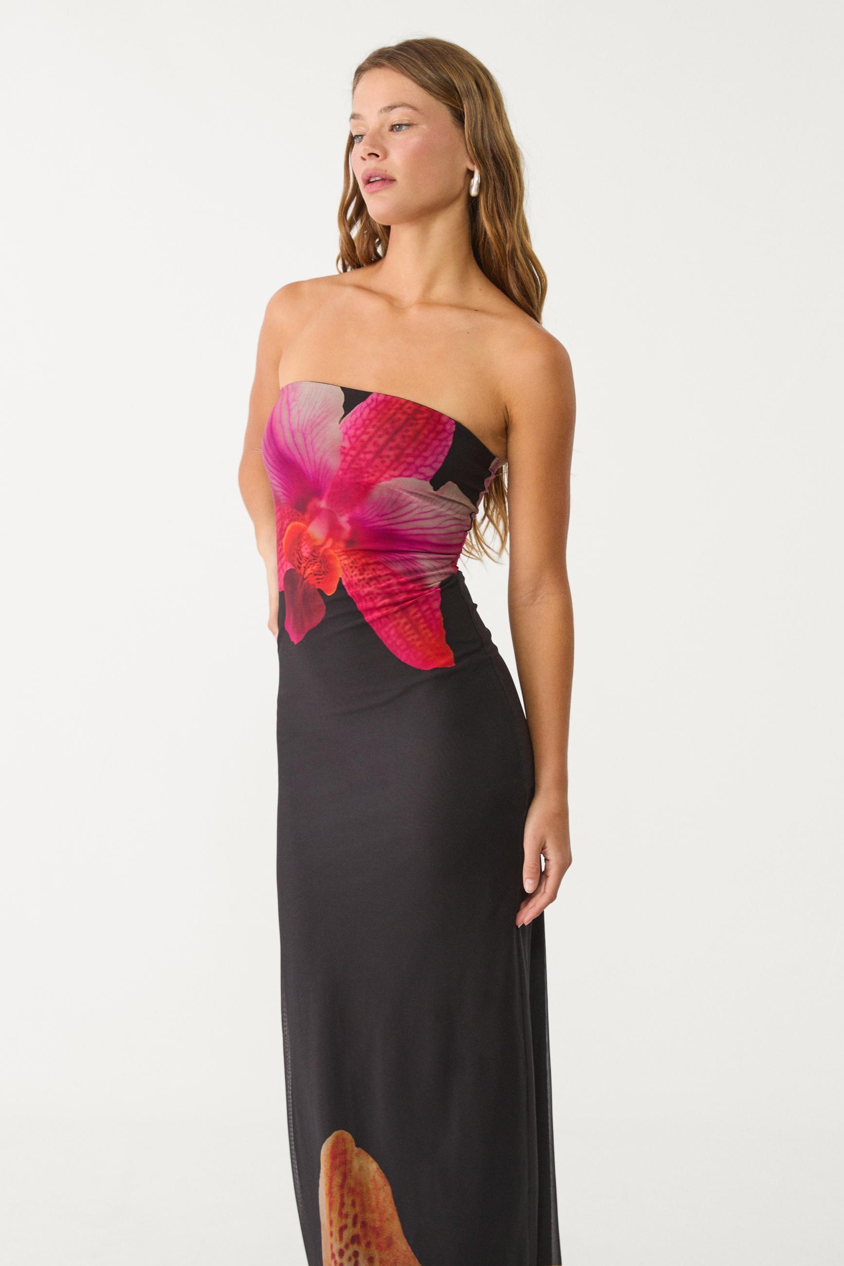Naia Liora  Dress