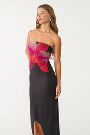 Naia Liora  Dress