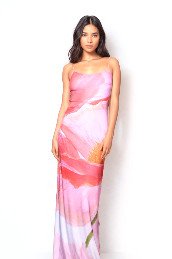 Elisa Santoro Dress