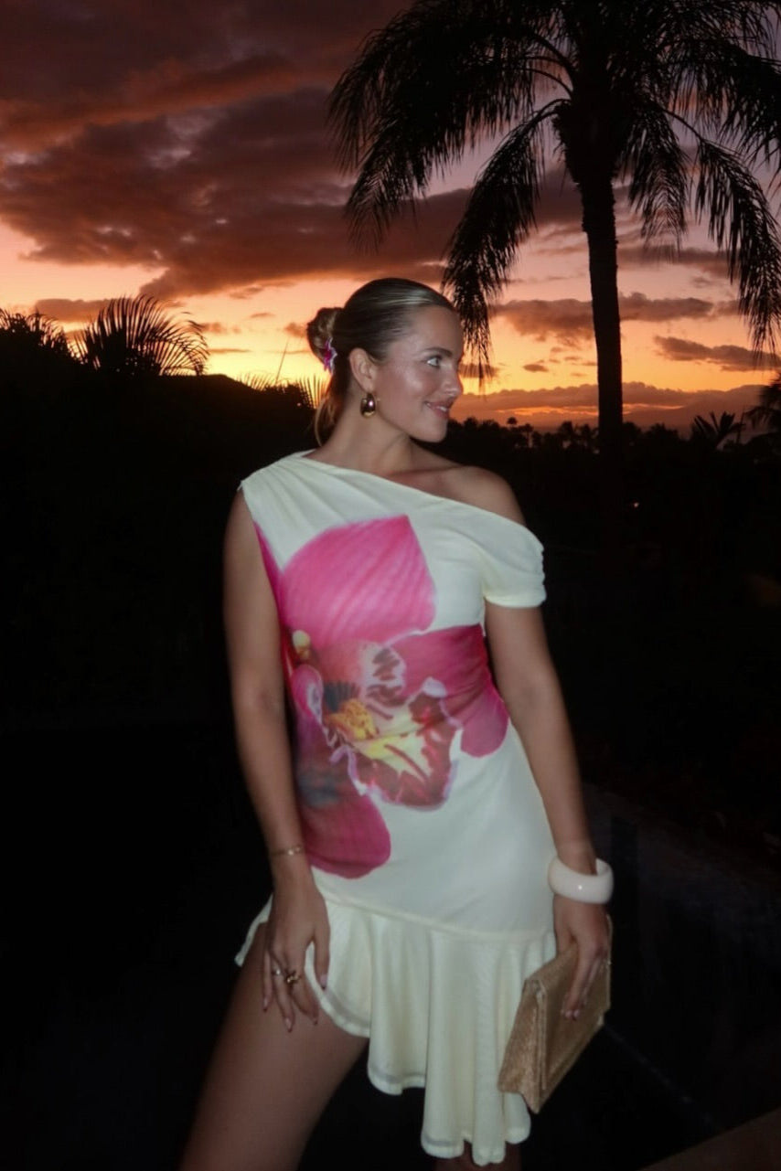 Zafiro Dress