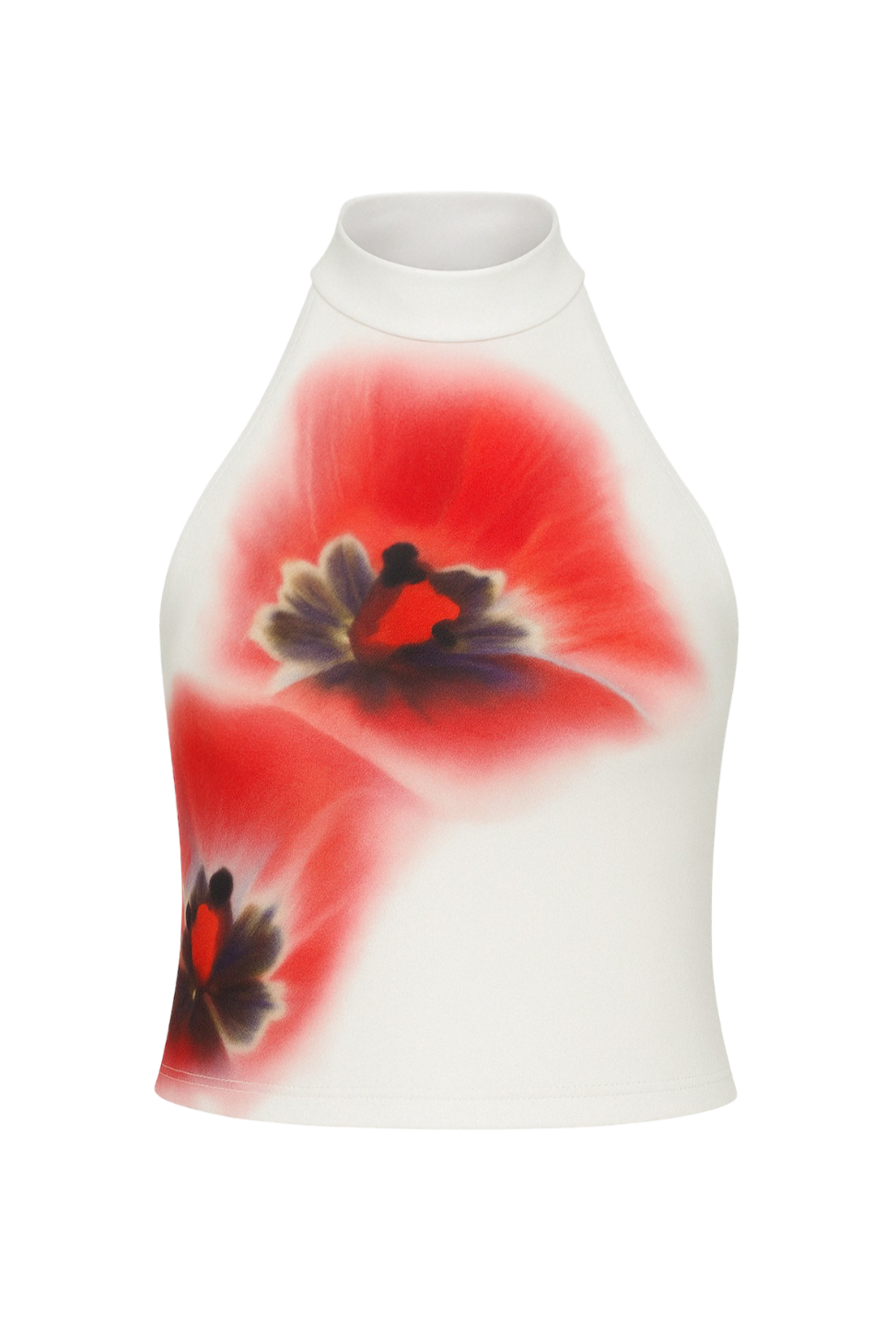 ChatGPTImage22abr2025_11_11_38_1.png