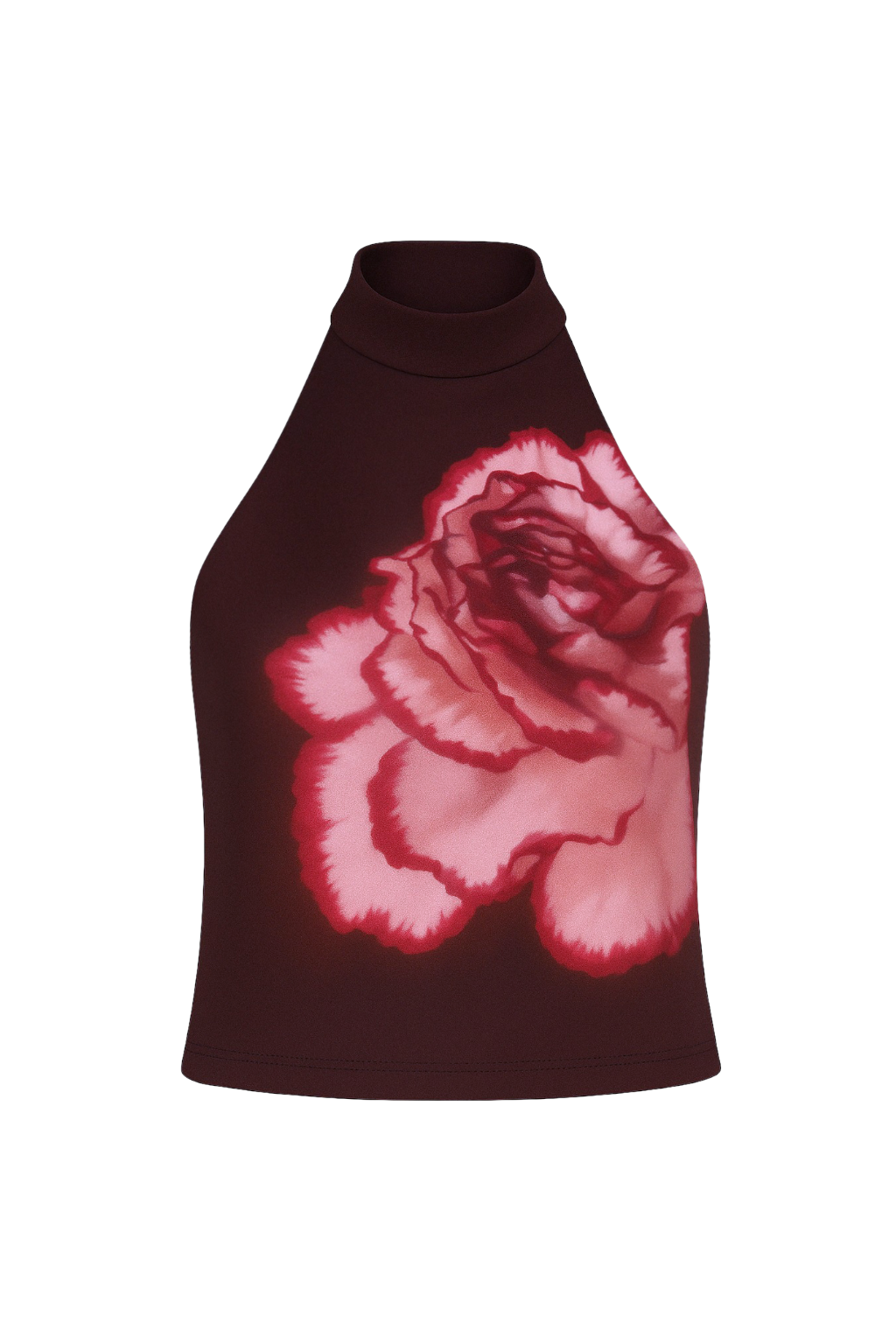 ChatGPTImage22abr2025_11_15_23_1.png