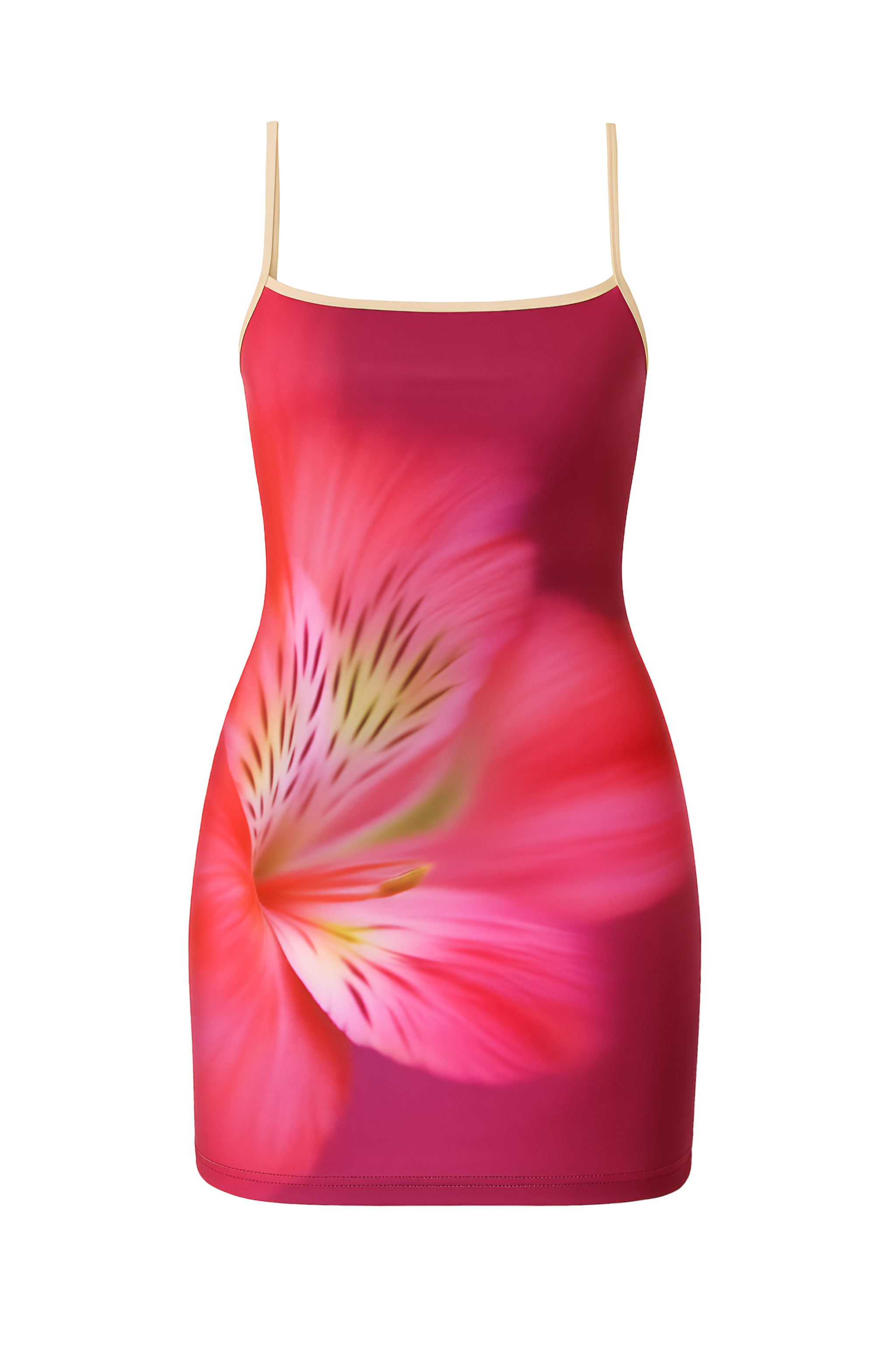 Robe Everine (fabuleuse)