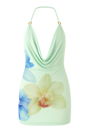 Blissy Dress