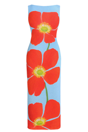 Borealis Dress