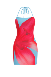 Eli Sutton Dress