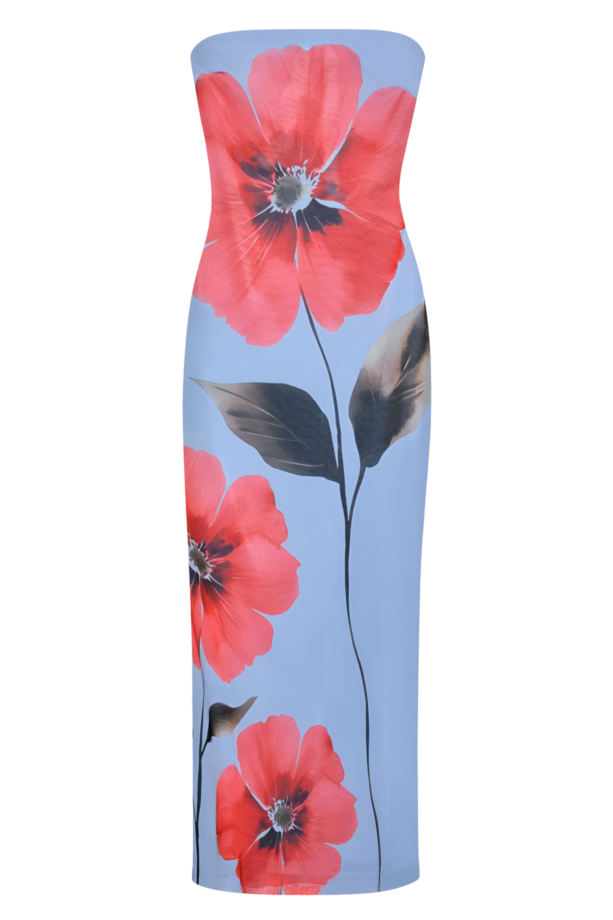 ChatGPTImage30abr2025_cv20_35_27_1_1.png