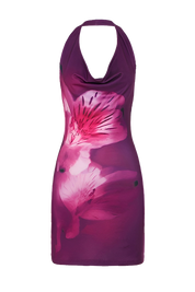 Nassau Dress