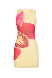 Grote Dress