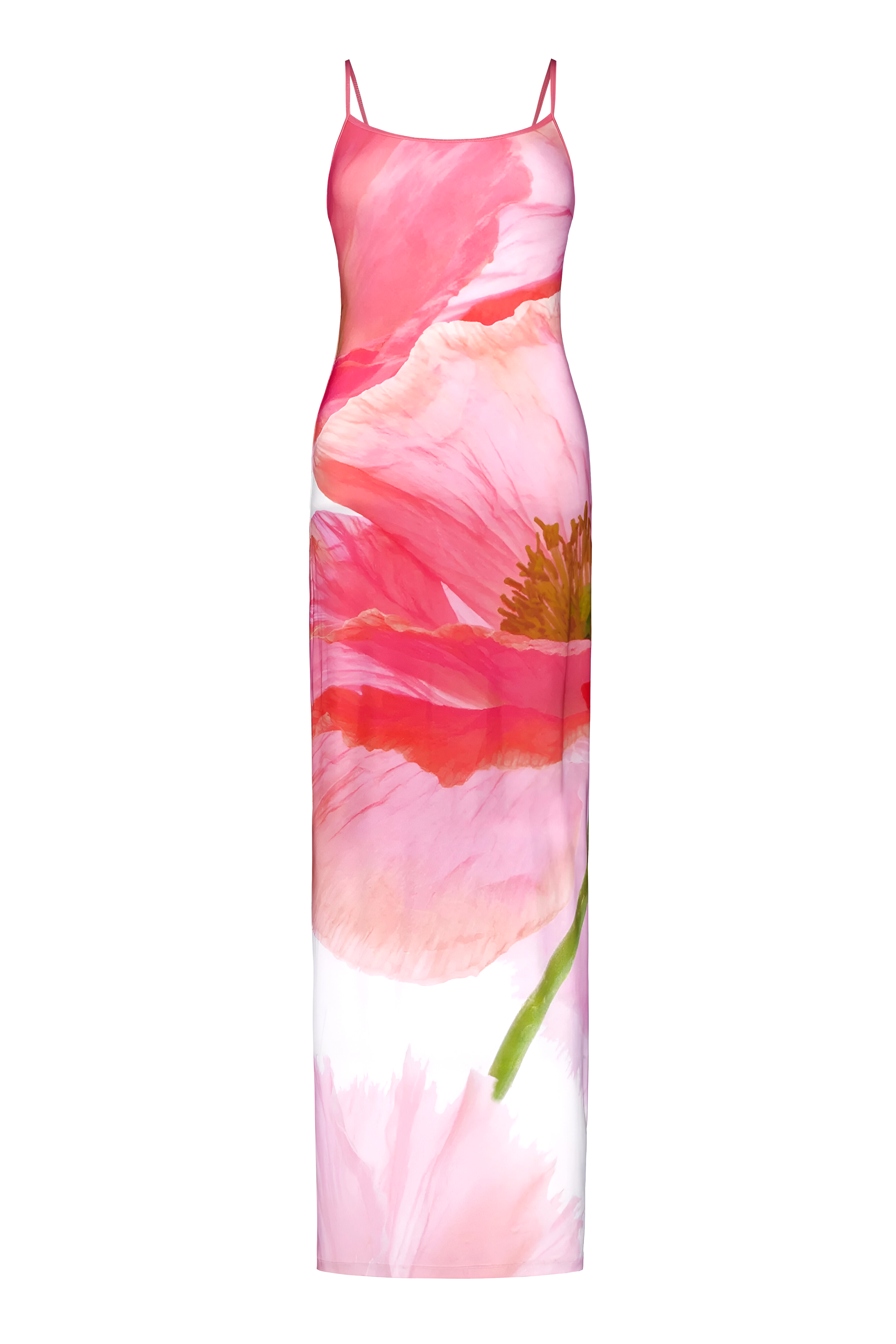 Elisa Santoro Dress