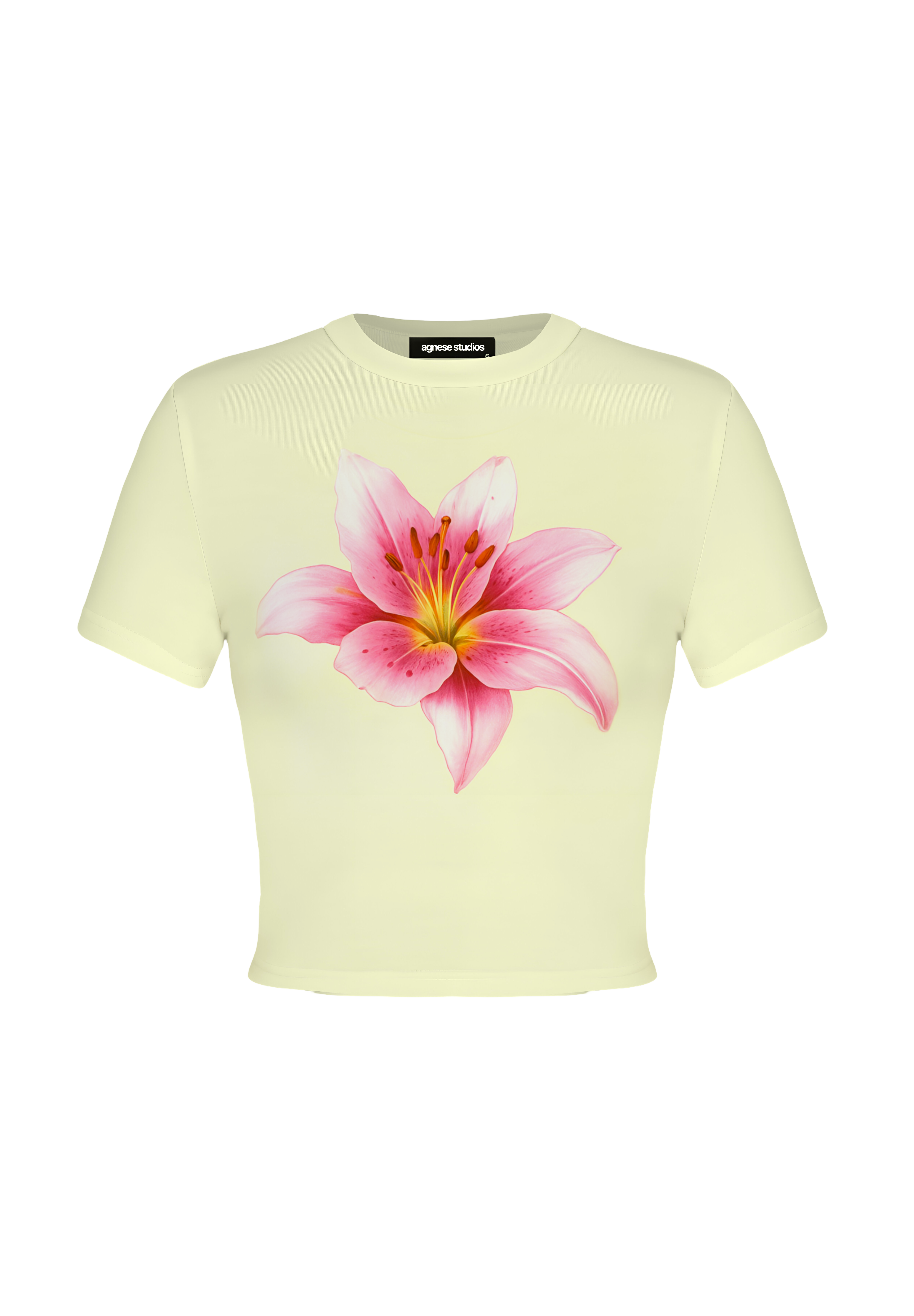 camisetarbasica2_e591118d-270d-47db-9921-780d99628f84.png