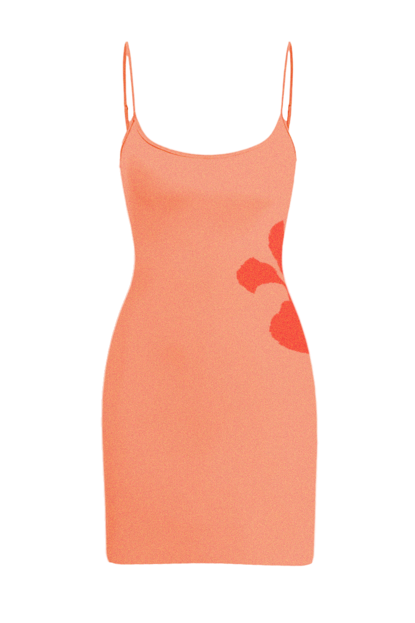 Maison Étoile Dress